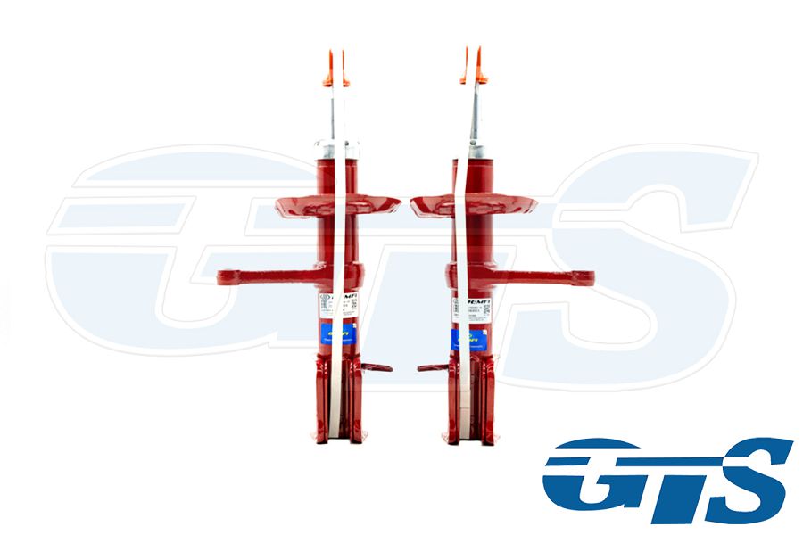 Комплект стоек передней подвески "DEMFI Premium" для а/м Рено Логан 1, газ/масло