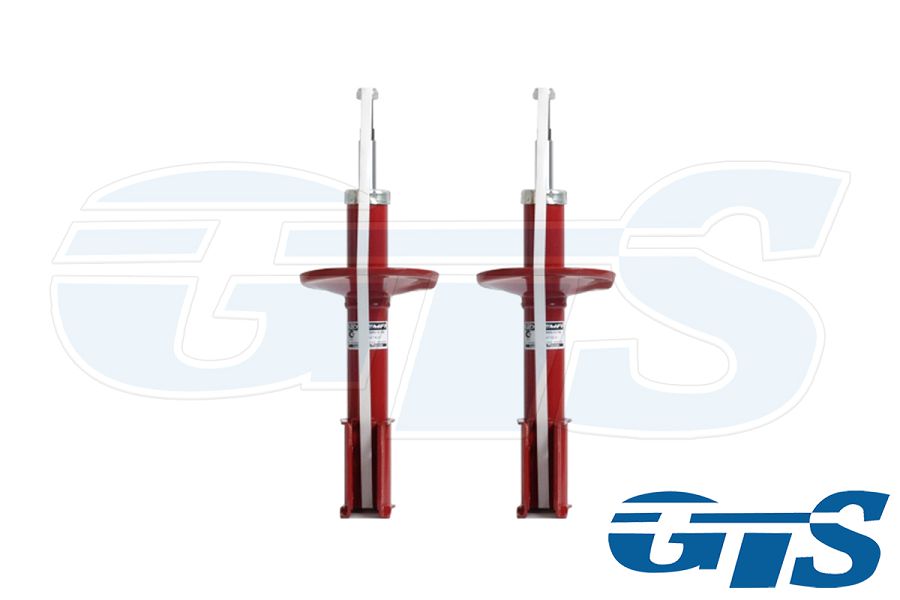 Комплект стоек передней подвески "DEMFI Premium" для а/м Ларгус, газ/масло