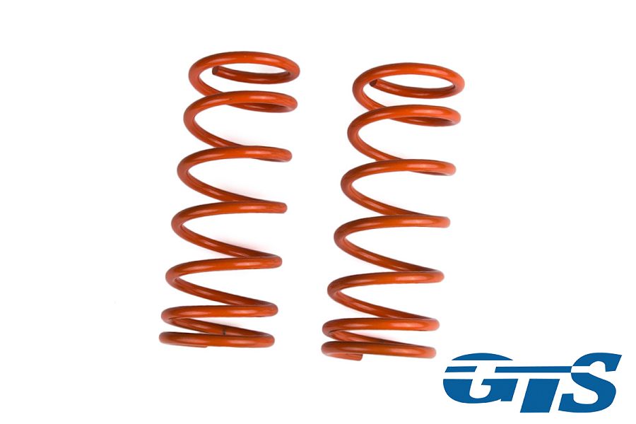 Пружины Технорессор для а/м ВАЗ 2101-07 задние, занижение -30 драйв