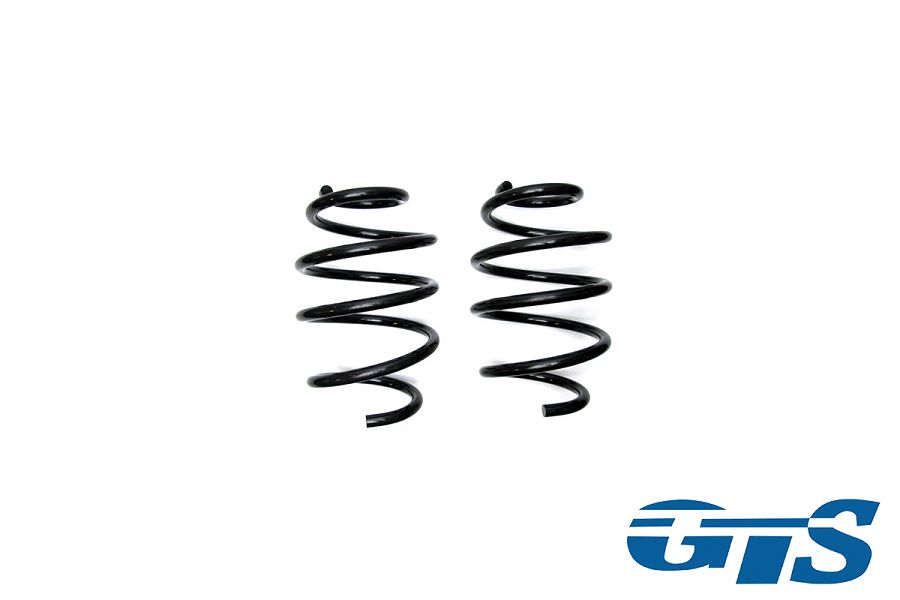 Пружины Технорессор для а/м ВАЗ 2170, 2190, 1119 передние, занижение -120 драйв