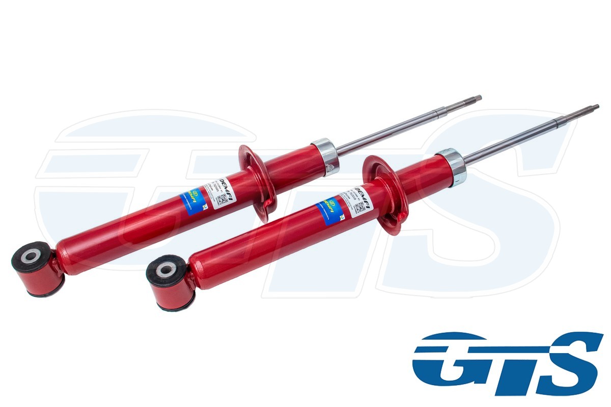 Амортизаторы задней подвески "DEMFI Premium" для а/м Гранта Спорт 21905, газ/масло