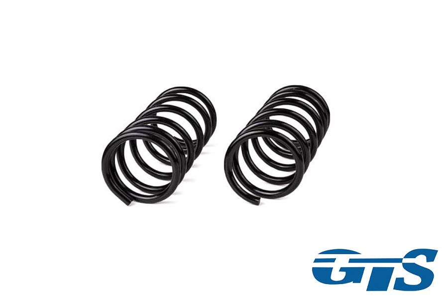 Пружины Технорессор для а/м ВАЗ 2101-07 задние, занижение -120 драйв