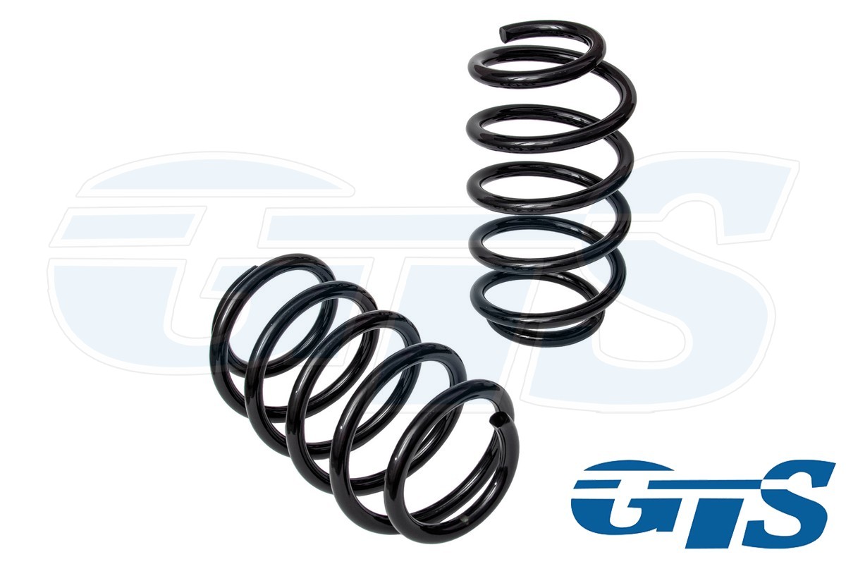 Пружины Технорессор для а/м Volkswagen Golf, Jetta, Passat / Skoda Octavia передние, занижение -50