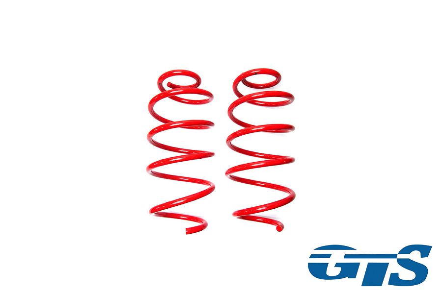 Пружины Технорессор для а/м ВАЗ 2170, 2190, 1119 передние, занижение -30 драйв