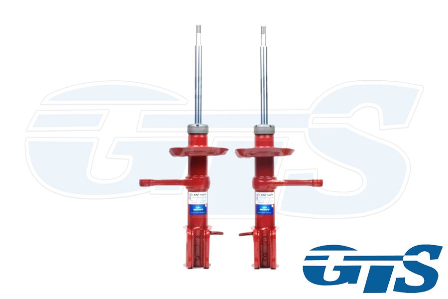 Комплект стоек передней подвески "DEMFI Premium" для а/м ВАЗ 2108-15, газ/масло  -30 мм.
