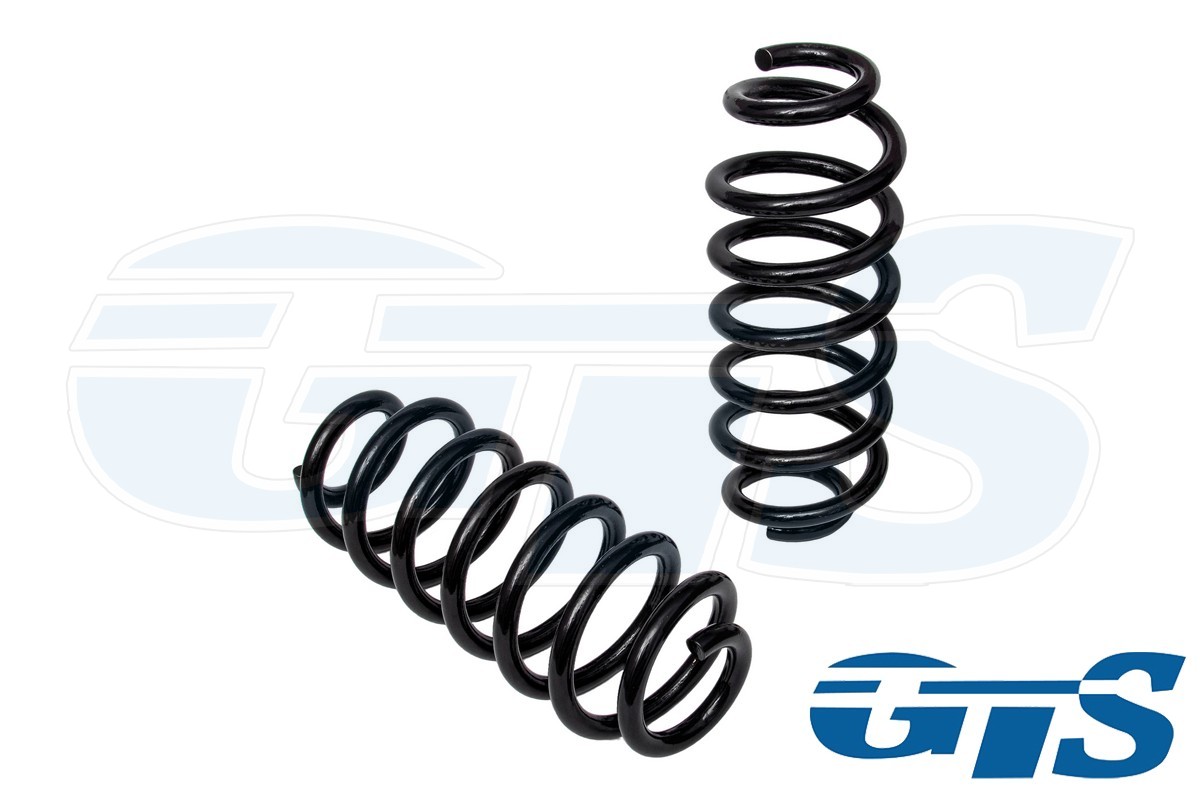 Пружины Технорессор для а/м Volkswagen Golf / Skoda Octavia задние, занижение -30