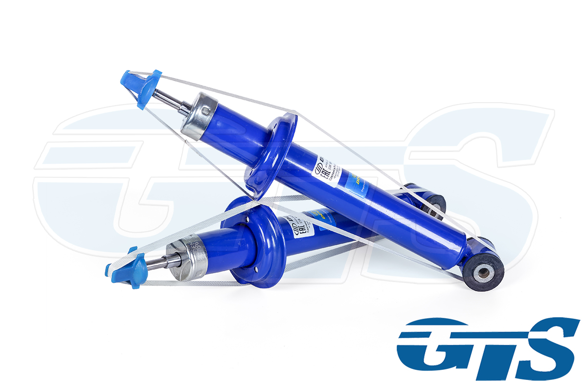 Амортизаторы задней подвески "DEMFI Comfort" для а/м ВАЗ 2108-09, 2110, 1119, 2170, 2190