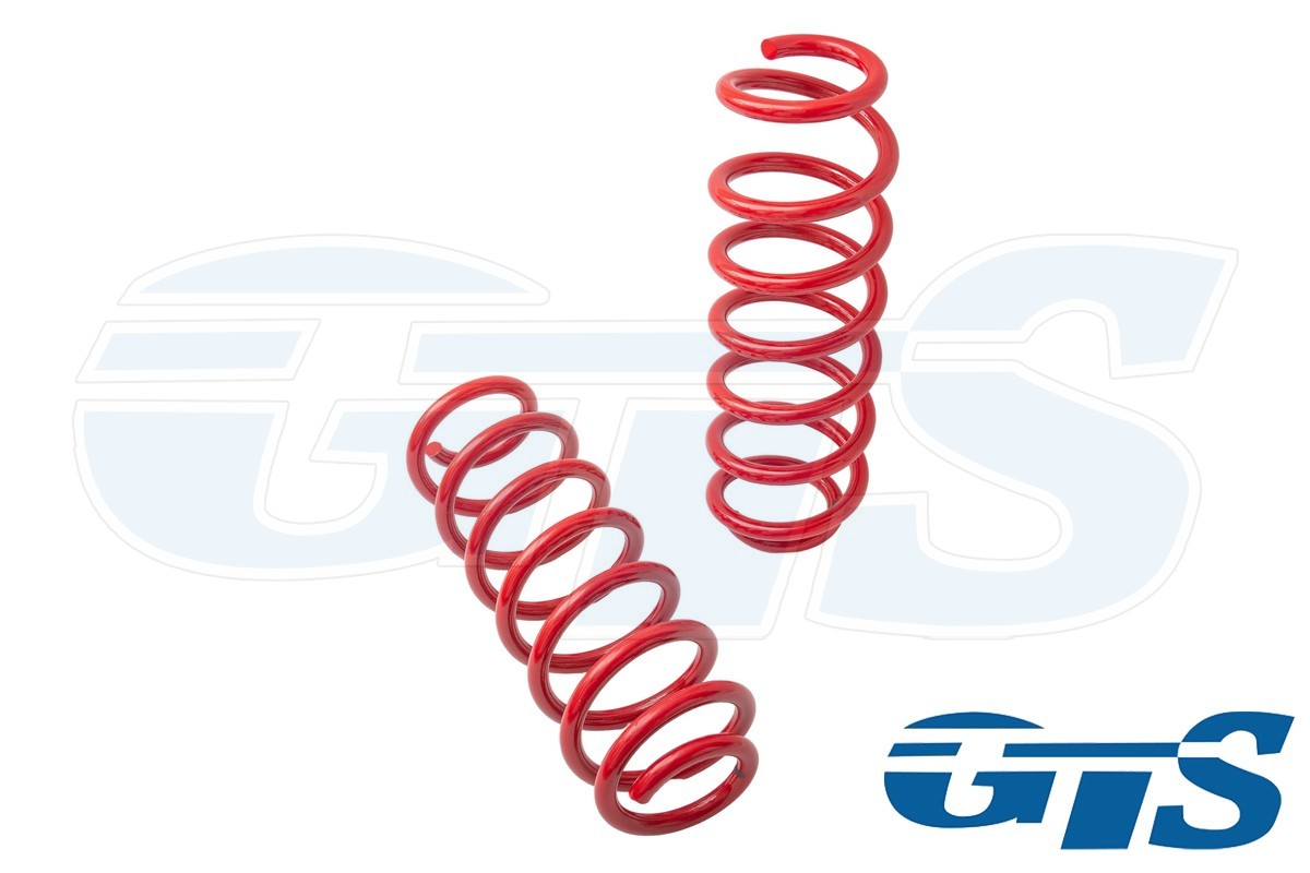 Пружины Технорессор для а/м  Kia Rio 3 / Hyundai Solaris, задние, занижение -30