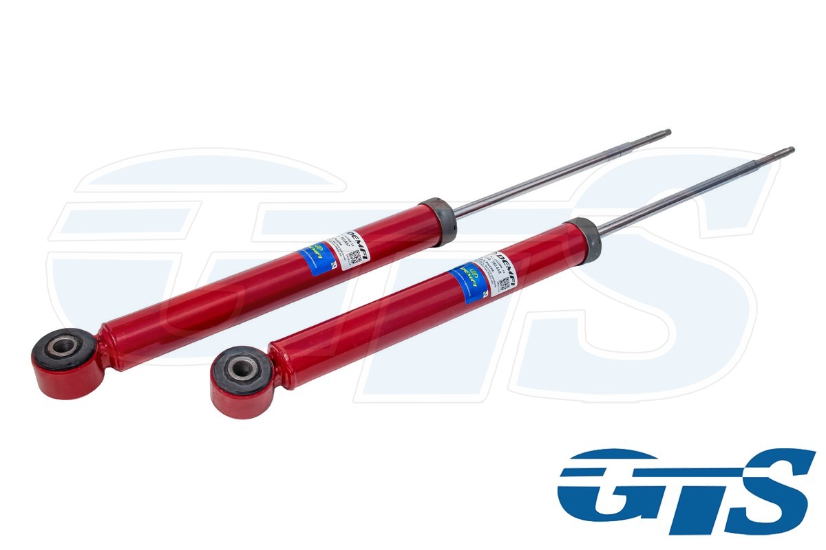 Амортизаторы задней подвески "DEMFI Premium" для а/м Ларгус, Рено Логан, газ/масло