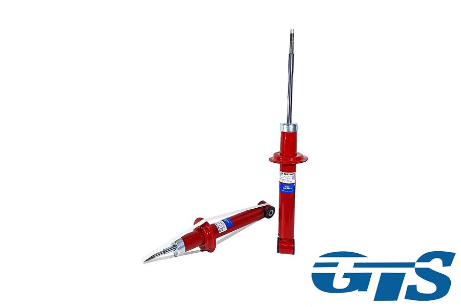 Амортизаторы задней подвески "DEMFI Premium" для а/м ВАЗ 2108-15, 2110-70, 2190, газ/масло, -50 мм